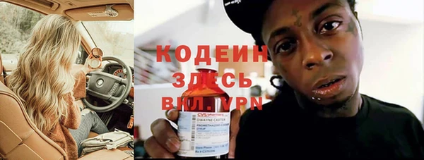 шишки Семилуки